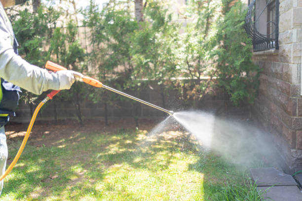 Best Pest Prevention Services  in Stryker, OH