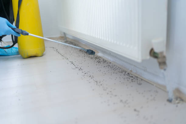 Best Exterminator Services  in Stryker, OH