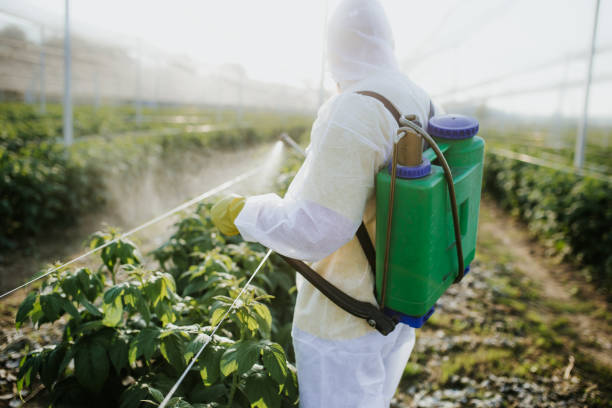 Best Pest Control Near Me  in Stryker, OH